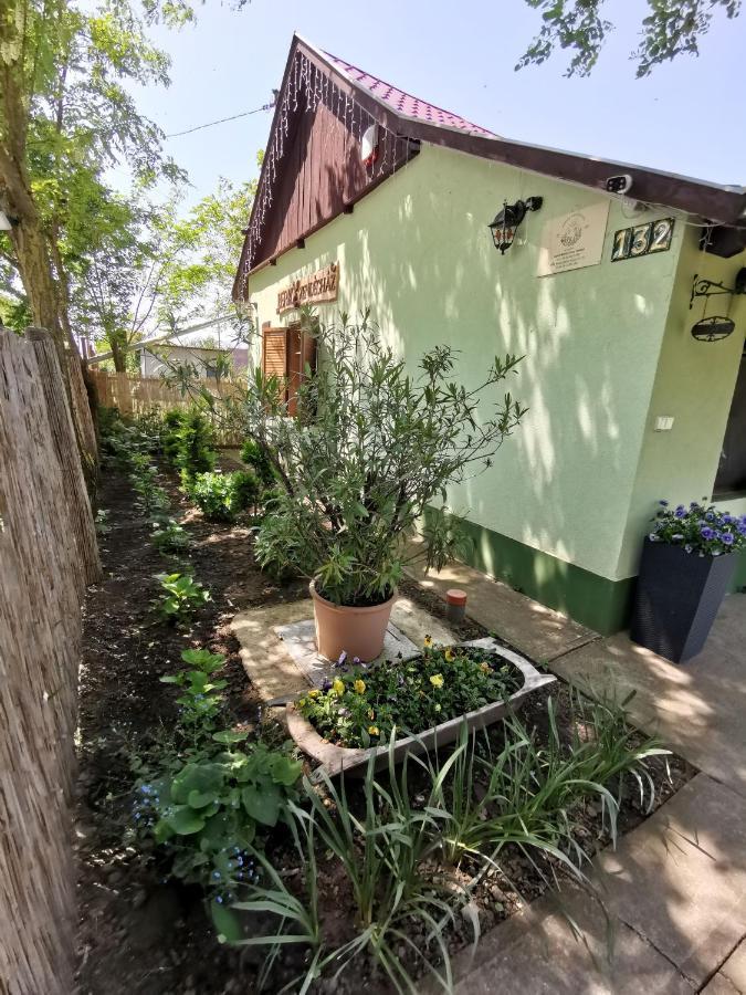 Berko Vendeghaz Apartment Rakoczifalva Bagian luar foto